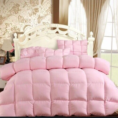 Winter warm quilt down quilt padding 220 * 240 thick goose down quilt